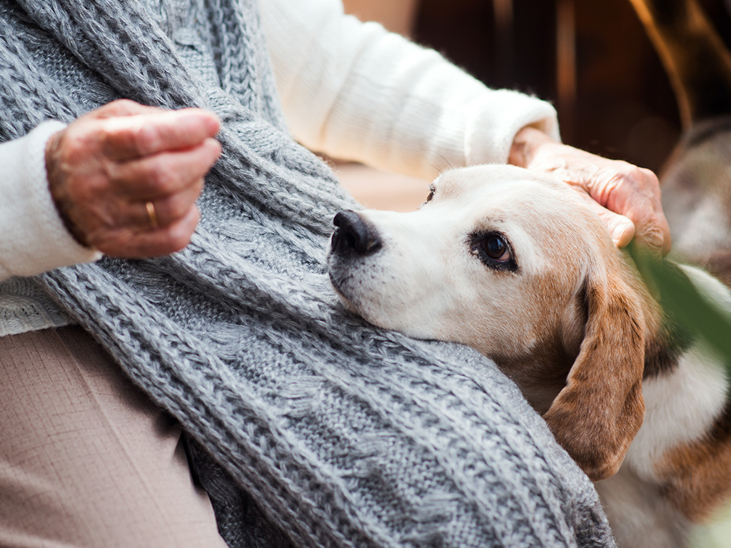 Blog | Tierbestattung Vorsorge