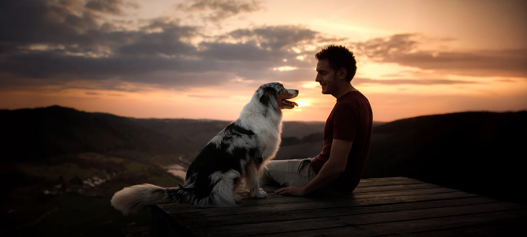 Tierbestattung Header slider